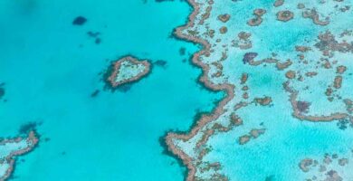 gran-barrera-de-coral-australia