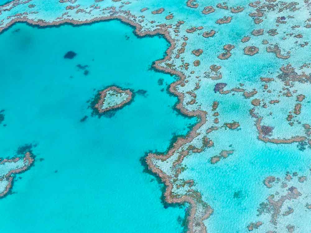 gran-barrera-de-coral-australia