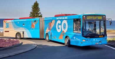 transporte-publico-sydney-bus